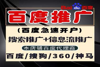 某电商平台的SEM广告投放全流程解析